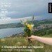  Hochgeladen am 25.06.2024 00:00:00Эртель Анна 
