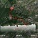  Hochgeladen am 25.06.2024 00:00:00Болдырева Людмила 