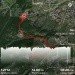  Hochgeladen am 27.06.2024 00:00:00Болдырева Людмила 