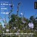  Hochgeladen am 28.06.2024 00:00:00Калиничева Анна 