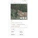  Hochgeladen am 01.07.2024 00:00:00Звездина Анна 