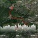  Hochgeladen am 02.07.2024 00:00:00Болдырева Людмила 