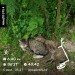  Hochgeladen am 05.07.2024 00:00:00Кочешова Ирина 