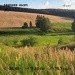  Hochgeladen am 09.07.2024 00:00:00Вагин Андрей 
