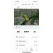  Hochgeladen am 09.07.2024 00:00:00Цымбал Евгений 