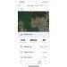  Hochgeladen am 09.07.2024 00:00:00Силина Ольга 