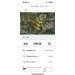  Hochgeladen am 17.07.2024 00:00:00Лысай Савелий 