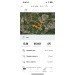  Hochgeladen am 16.07.2024 00:00:00Лысай Савелий 