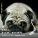  Hochgeladen am 18.07.2024 00:00:00Кочешова Ирина 