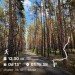  Hochgeladen am 28.07.2024 00:00:00Честных Виктор 