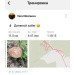  Hochgeladen am 31.07.2024 00:00:00Николаева Вера 