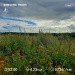  Hochgeladen am 02.08.2024 00:00:00Родченкова Татьяна 