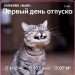  Hochgeladen am 02.08.2024 00:00:00Орлова Анастасия 