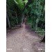  Hochgeladen am 03.08.2024 00:00:00Лукина Анастасия 