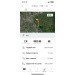  Hochgeladen am 05.08.2024 00:00:00Горелкина Ирина 