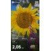  Hochgeladen am 05.08.2024 00:00:00Крашенинникова Наталья 