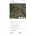  Hochgeladen am 07.08.2024 00:00:00Барабанов Дмитрий 