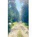  Hochgeladen am 08.08.2024 00:00:00Аникиев Артем 