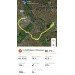  Hochgeladen am 17.08.2024 00:00:00Рыжая Наталия 