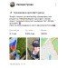  Загрузка от 18.08.2024 00:00:00 Гусева Евгения 