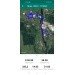  Hochgeladen am 18.08.2024 00:00:00Зверева Юлия 