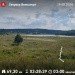  Hochgeladen am 19.08.2024 00:00:00Карпов Дмитрий Викентьевич 
