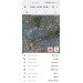  Hochgeladen am 24.08.2024 00:00:00Чинянин Константин 