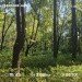  Hochgeladen am 26.08.2024 00:00:00Татарченко Юлия 