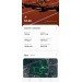  Загрузка от 28.08.2024 00:00:00 Стариков Денис 
