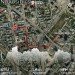  Hochgeladen am 04.09.2024 00:00:00Дорошенко Инна 