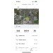 Hochgeladen am 07.09.2024 00:00:00Шейнина Евгения 