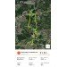  Hochgeladen am 08.09.2024 00:00:00Левченко Виталий 