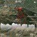 Hochgeladen am 08.09.2024 00:00:00Кузьмичева Ольга 