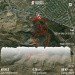  Hochgeladen am 14.09.2024 00:00:00Кузьмичева Ольга 