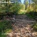  Hochgeladen am 16.09.2024 00:00:00Бабашкина Светлана 