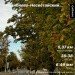  Hochgeladen am 17.09.2024 00:00:00Калиничева Анна 