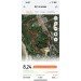  Hochgeladen am 21.09.2024 00:00:00Кисточкина Ярослава 