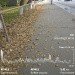  Hochgeladen am 22.09.2024 00:00:00Дорошенко Инна 