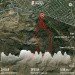  Hochgeladen am 25.09.2024 00:00:00Кузьмичева Ольга 