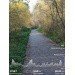  Hochgeladen am 12.10.2024 00:00:00Гамзюкова Кристина 