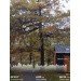  Hochgeladen am 14.10.2024 00:00:00Гамзюкова Кристина 