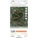  Hochgeladen am 16.10.2024 00:00:00Кисточкина Ярослава 