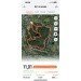  Hochgeladen am 18.10.2024 00:00:00Кисточкина Ярослава 