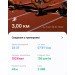  Hochgeladen am 21.10.2024 00:00:00Хамадиева Гузель 