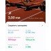  Hochgeladen am 22.10.2024 00:00:00Хамадиева Гузель 