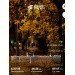  Hochgeladen am 23.10.2024 00:00:00Мамыкин Александр 