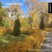  Hochgeladen am 24.10.2024 00:00:00Варламова Оксана 