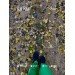 Hochgeladen am 25.10.2024 00:00:00Усачева Оксана 