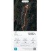  Hochgeladen am 25.10.2024 00:00:00Молостов Дмитрий 