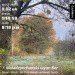  Hochgeladen am 26.10.2024 00:00:00хз хз 